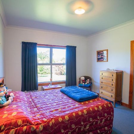 Ostello Bob & Maxines Backpackers Te Anau Esterno foto